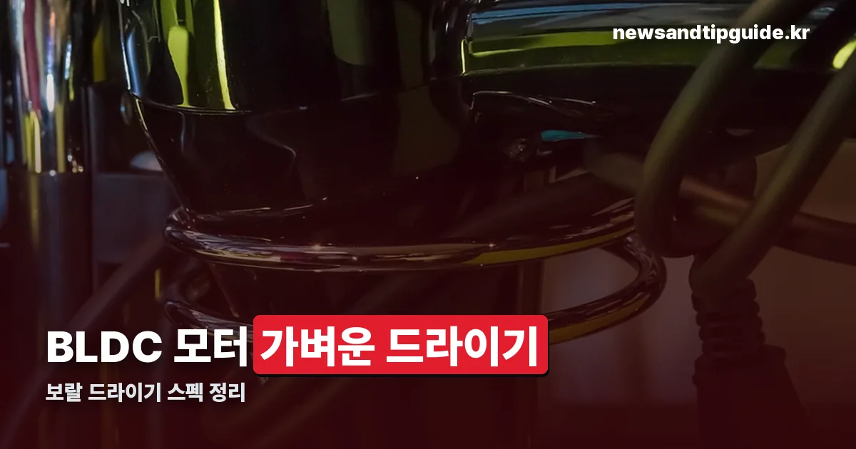 보랄 드라이기 정리 썸네일