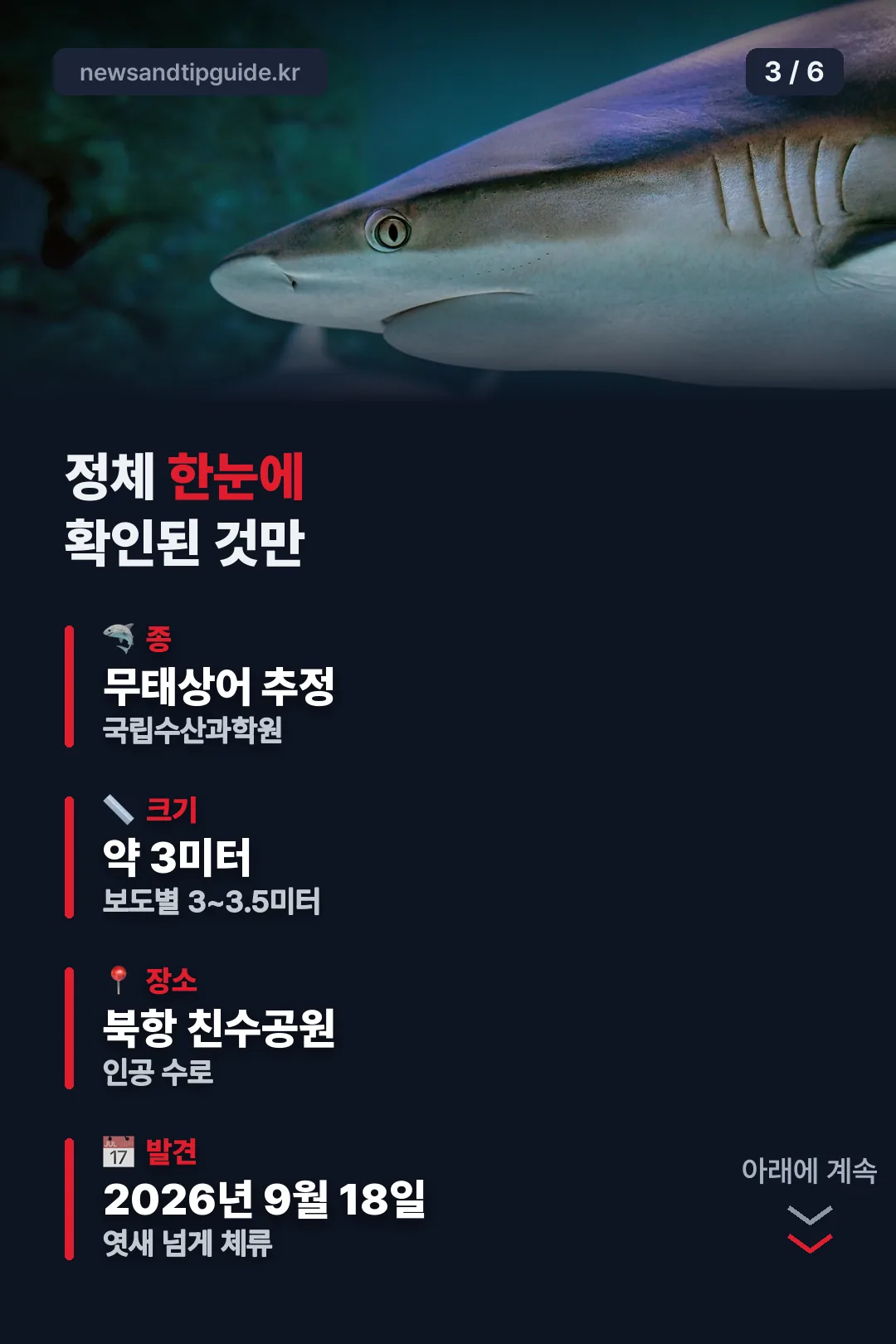 부캉이 정체 한눈에