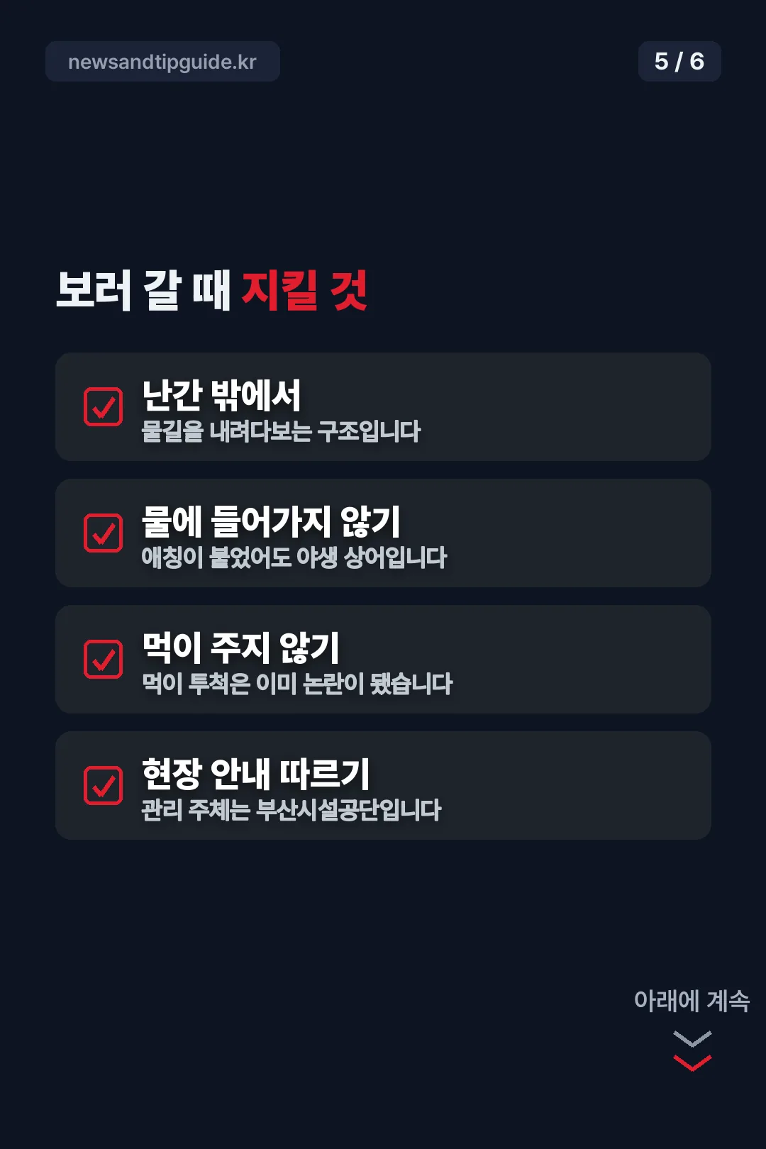 관람 시 지킬 것