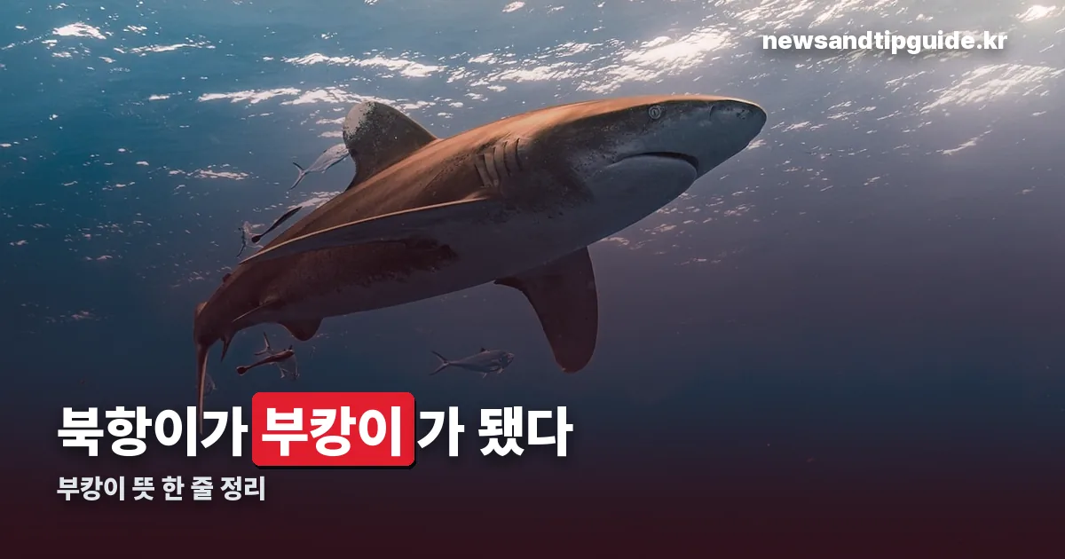 부캉이 뜻 정리 썸네일