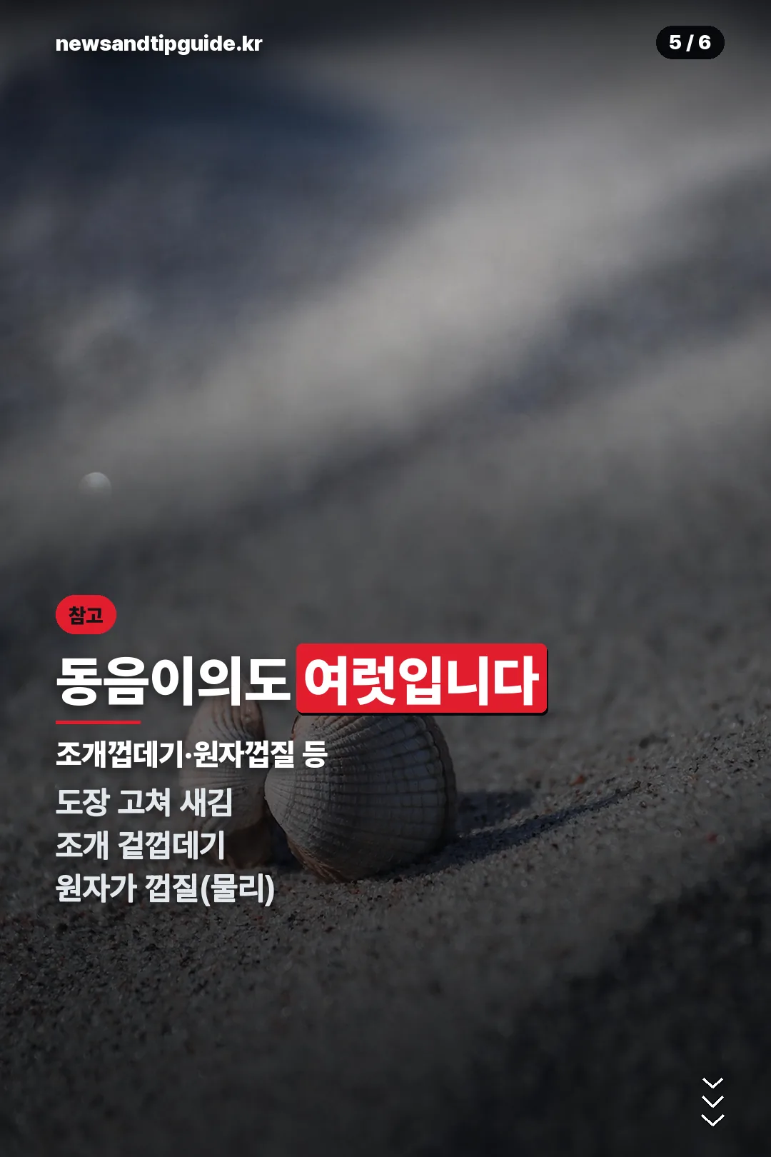 동음이의어들
