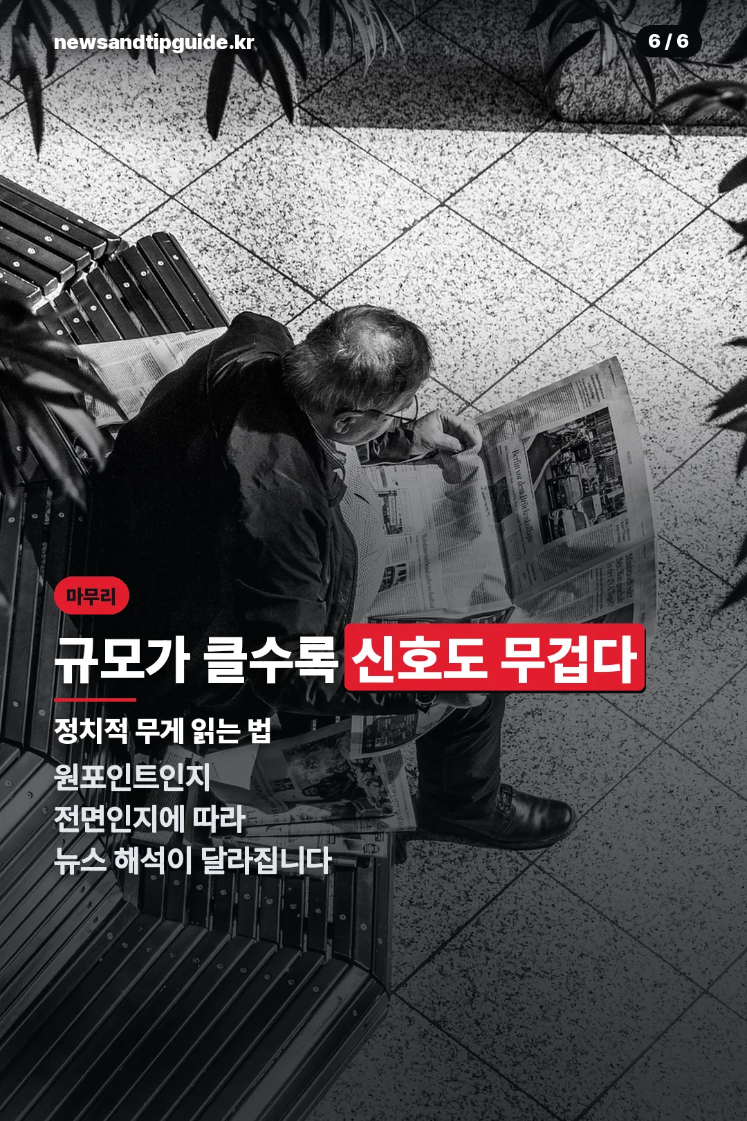 정치적 무게 읽는 법