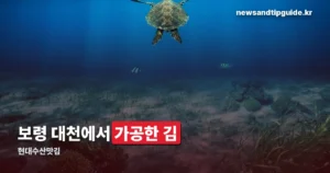 현대수산맛김 — 제품 종류와 구매처 총정리