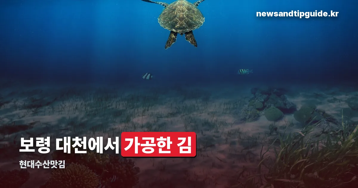 현대수산맛김 정리 썸네일