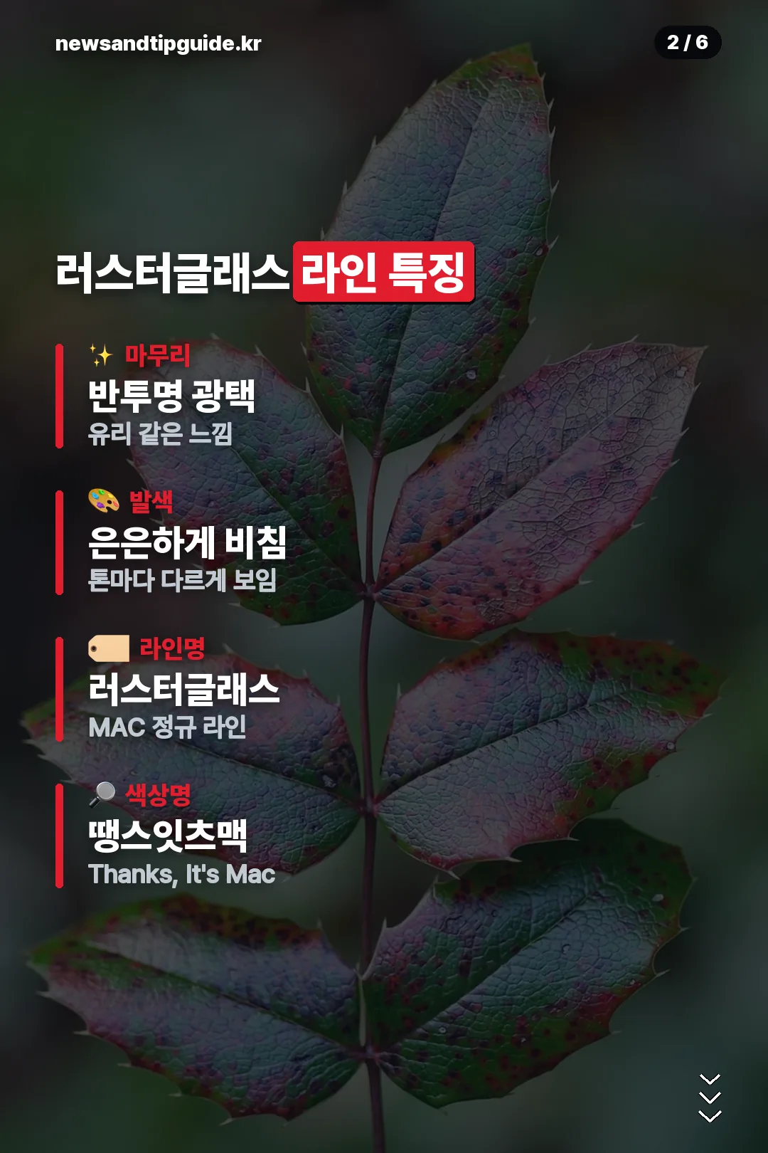 러스터글래스 라인 특징