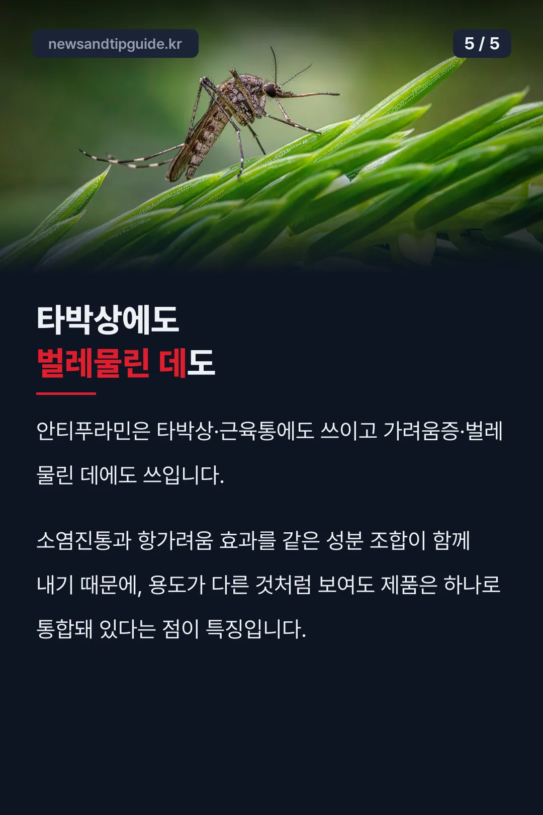 타박상에도 벌레물린 데도