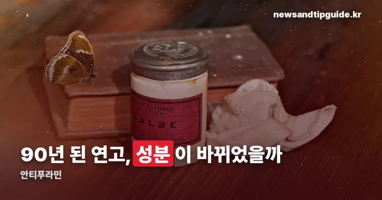 안티푸라민 정리 썸네일