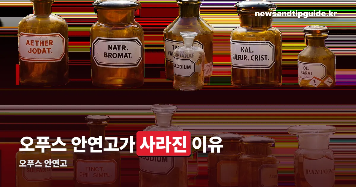 오푸스 안연고 정리 썸네일