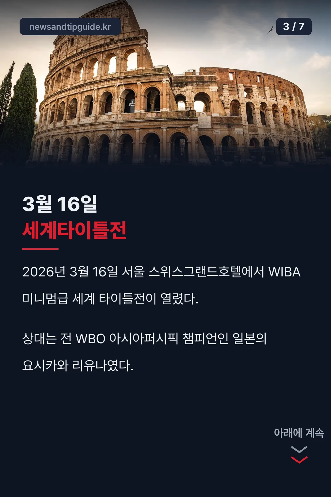 세계타이틀전 도전