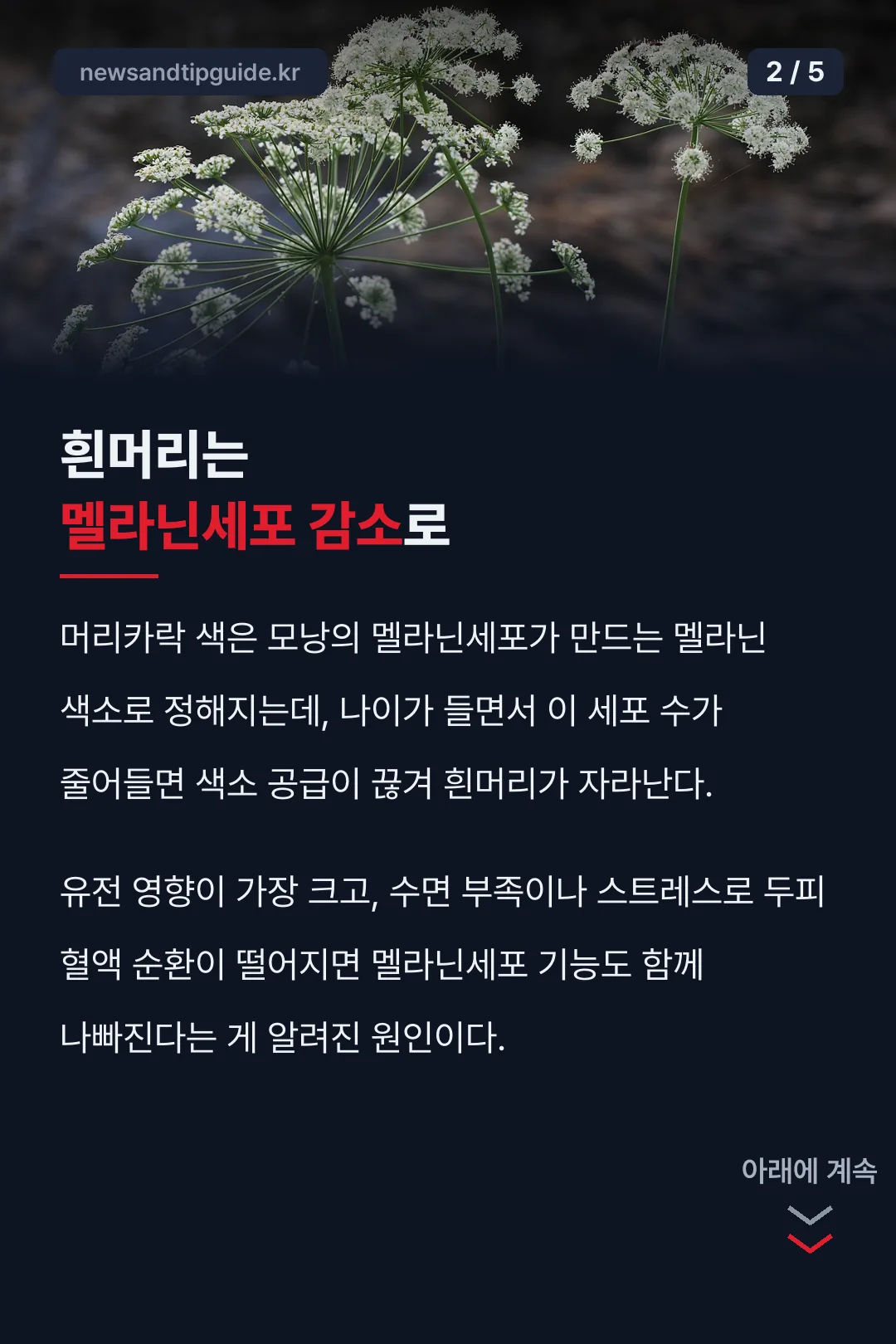 흰머리 생기는 원인